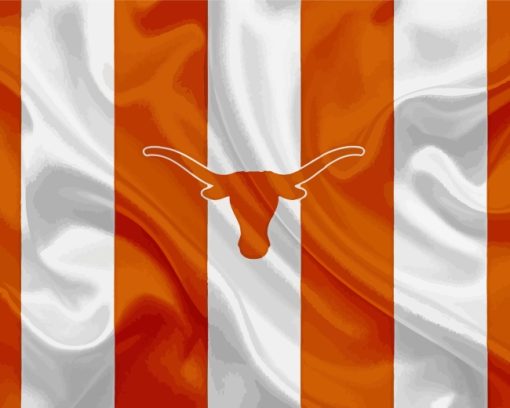 Texas Longhorn Flag Paint By Number