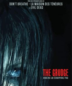 The Grudge Poster Paint By Number