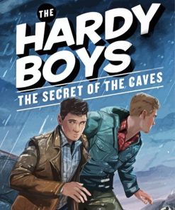 The Hardy Boys Poster Art Paint By Number