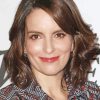 Tina Fey Actress Paint By Number