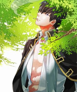 Toshiro Hijikata Gintama Paint By Number