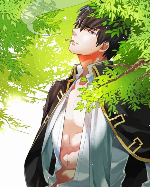 Toshiro Hijikata Gintama Paint By Number