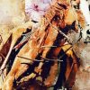 Woman On Horse Paint By Number