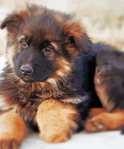 German Shepherd Puppy Paint By Number