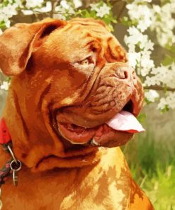 Bordeaux Mastiff Puppy Paint By Number