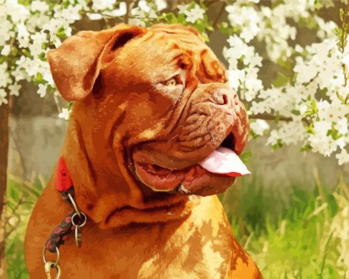 Bordeaux Mastiff Puppy Paint By Number