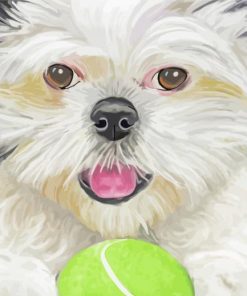 Shih Tzu Puppy Paint By Number