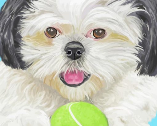 Shih Tzu Puppy Paint By Number