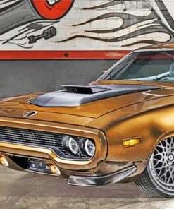 Brown 1971 Roadrunner Paint By Number