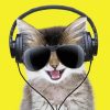 Cat Wearing Headphones And Sunglasses Paint By Number