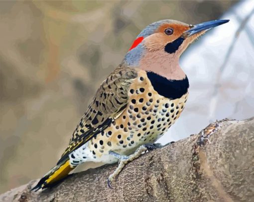 Cute Northern Flicker Paint By Number