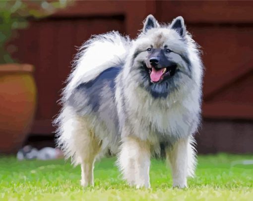 Adorable Keeshond Dog Paint By Number