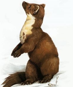 Adorable Marten Animal Paint By Number