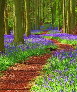 Path Through Bluebell Wood Paint By Number