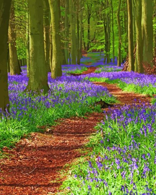 Path Through Bluebell Wood Paint By Number