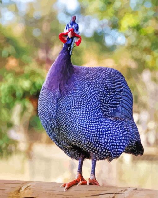 Purple Guineafowls Paint By Number