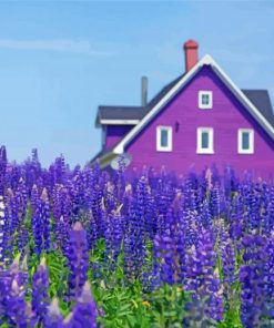 Purple Cottage And Lavender Paint By Number