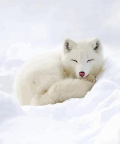 Sleepy Baby Arctic Fox Paint By Number