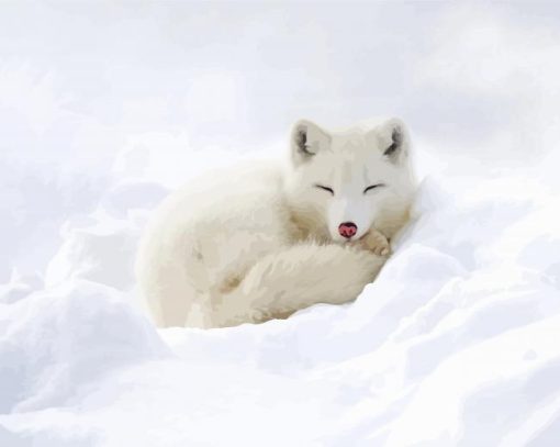 Sleepy Baby Arctic Fox Paint By Number