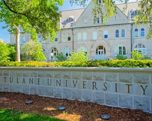 Tulane University In New Orleans Paint By Number