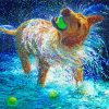 Wet Dog Art Paint By Number