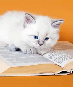 White Cat With Book Paint By Number