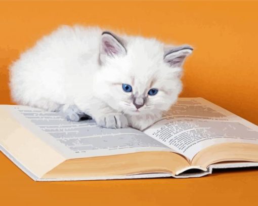 White Cat With Book Paint By Number