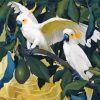 Artistic White Parrots Paint By Number