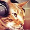 Cat Listening To Music Paint By Number