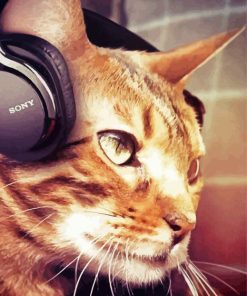 Cat Listening To Music Paint By Number