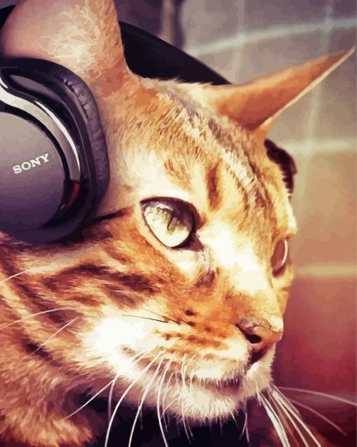 Cat Listening To Music Paint By Number