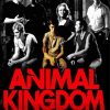 Animal kingdom Poster Paint By Number