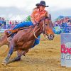 Barrel Racing Paint By Number