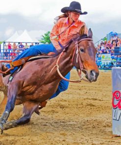 Barrel Racing Paint By Number