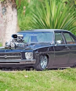 Black Holden Kingswood Paint By Number