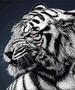 Black Bengal Tiger Paint By Number