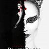 Black Swan Movie Poster Paint By Number