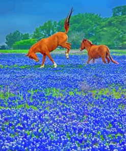 Bluebonnets And Horses Paint By Number