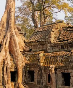 Cambodia Tomb Raider Temple Paint By Number