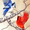 Cardinal And Blue Jay Birds On Branch Paint By Number