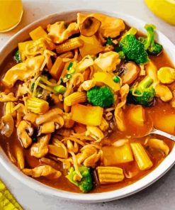 Chop Suey Dish Food Paint By Number