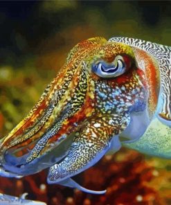 Cuttlefish Paint By Number