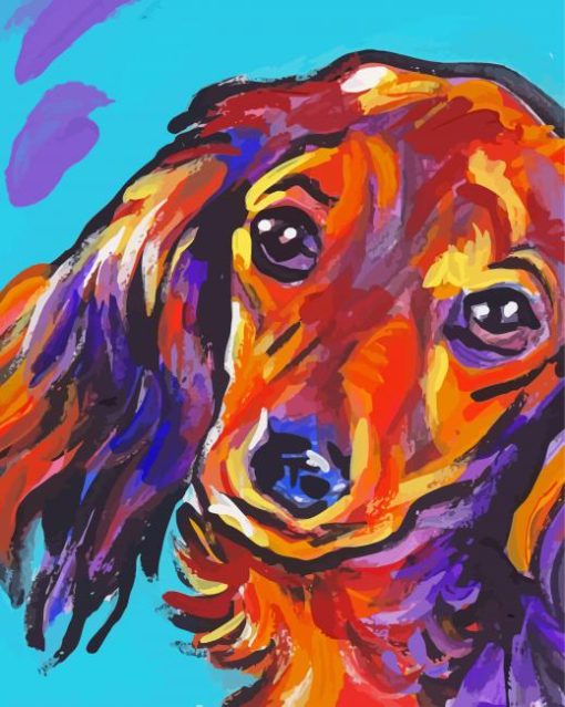 Dachshund Dog Colorful Paint By Number