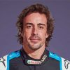 Fernando Alonso Racing Driver Paint By Number