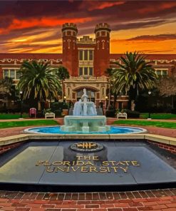 Florida State University At Sunset Paint By Number