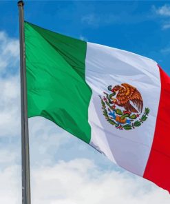 Flying Mexico Flag Paint By Number