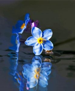 Forget Me Nots Flowers Reflection Paint By Number