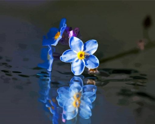 Forget Me Nots Flowers Reflection Paint By Number