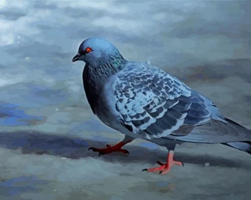 Gray Dove Paint By Number