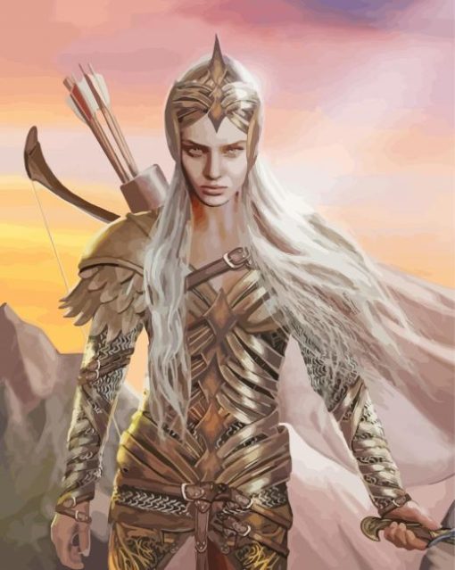 Lord Of The Rings Galadriel Warrior Paint By Number